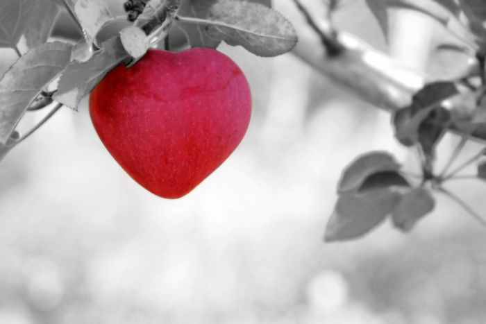 The Will to Love