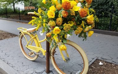 Divine Resilience: Willingness to Remember Who I Truly Am