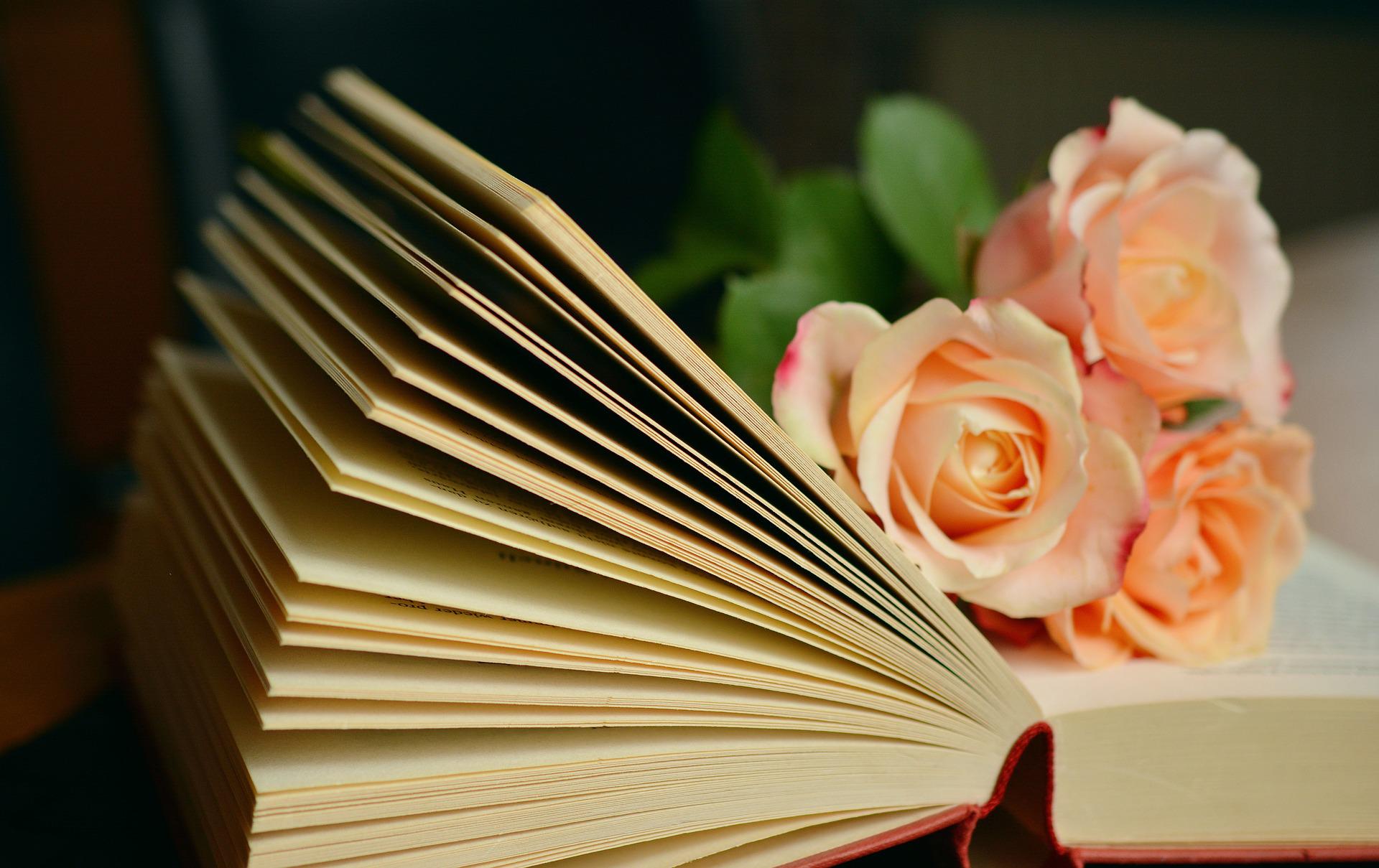 Be the Love: The Rest is Only Commentary