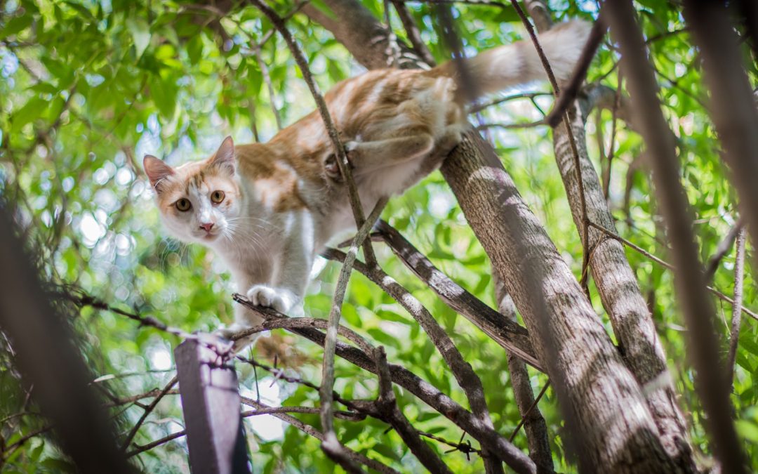 Getting Unstuck, Again!