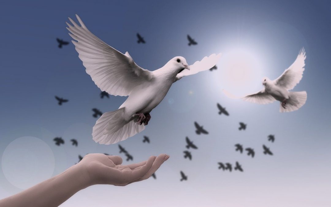 Faith, Trust and Surrender: 3 Keys to Transcending the Illusion