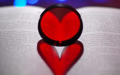 Redux: Renunciation of the Third Dimensional World. Allowing and Detaching with Compassion