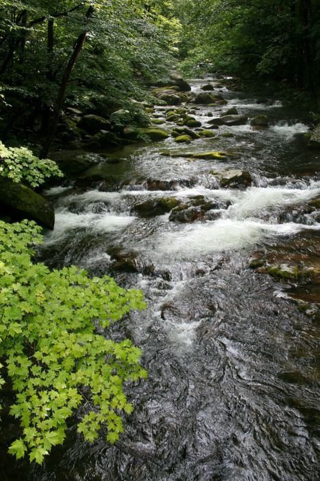 Love Flow